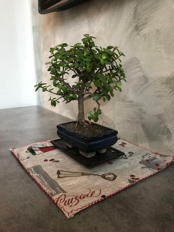 Accogliente Bilocale Apartment Milan Bagian luar foto